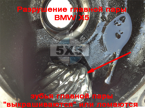 Поломка главной пары BMW (БМВ) X5 E53
