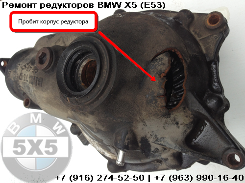 Ремонт и восстановление редукторов 3.91 BMW (БМВ) X5 (E53)